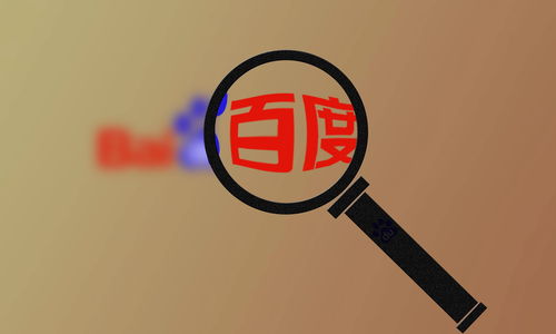 精准蜘蛛池